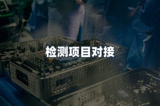 检测项目对接