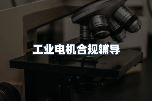 工业电机合规辅导